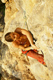 bouldering thailand